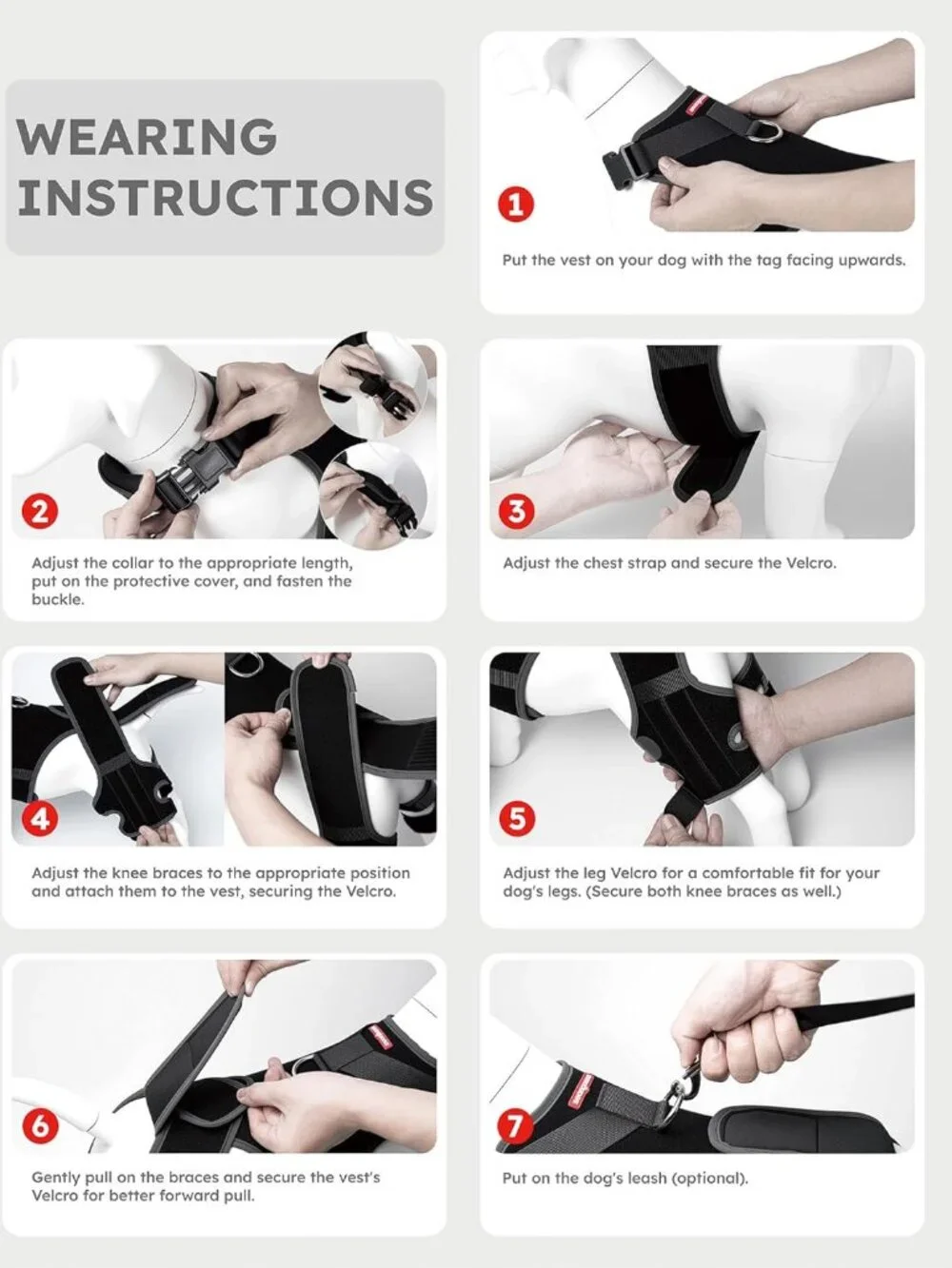 Dog Knee Brace for Torn ACL/CCL Hind Leg